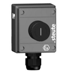 Ex Command device Ex BF 80 1 PZDTSW IP66 (1NC/1NO) II 2G Ex edqm //